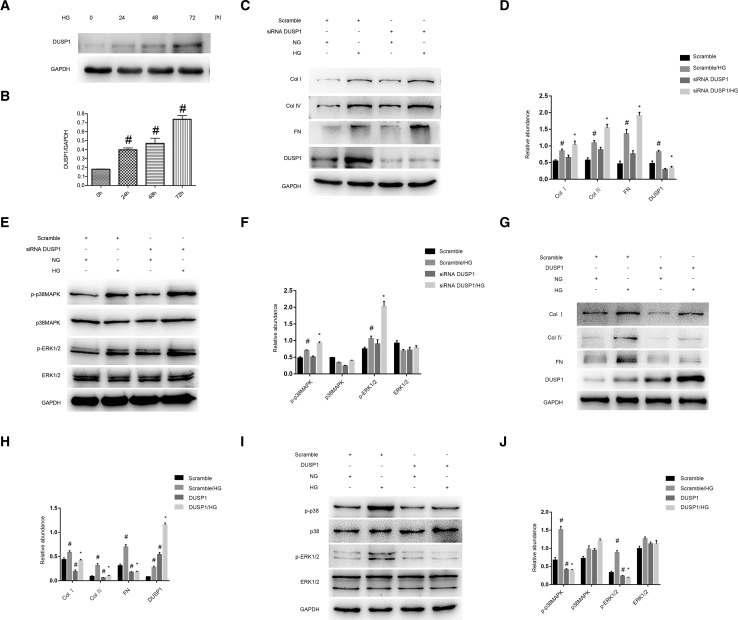 Figure 7