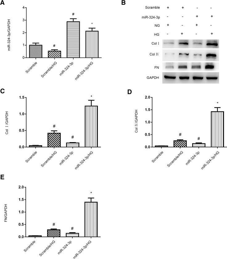 Figure 5