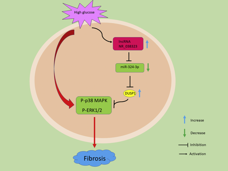 Figure 10