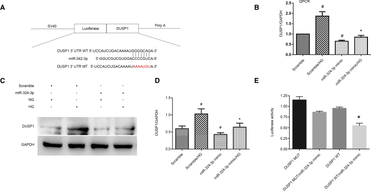 Figure 6