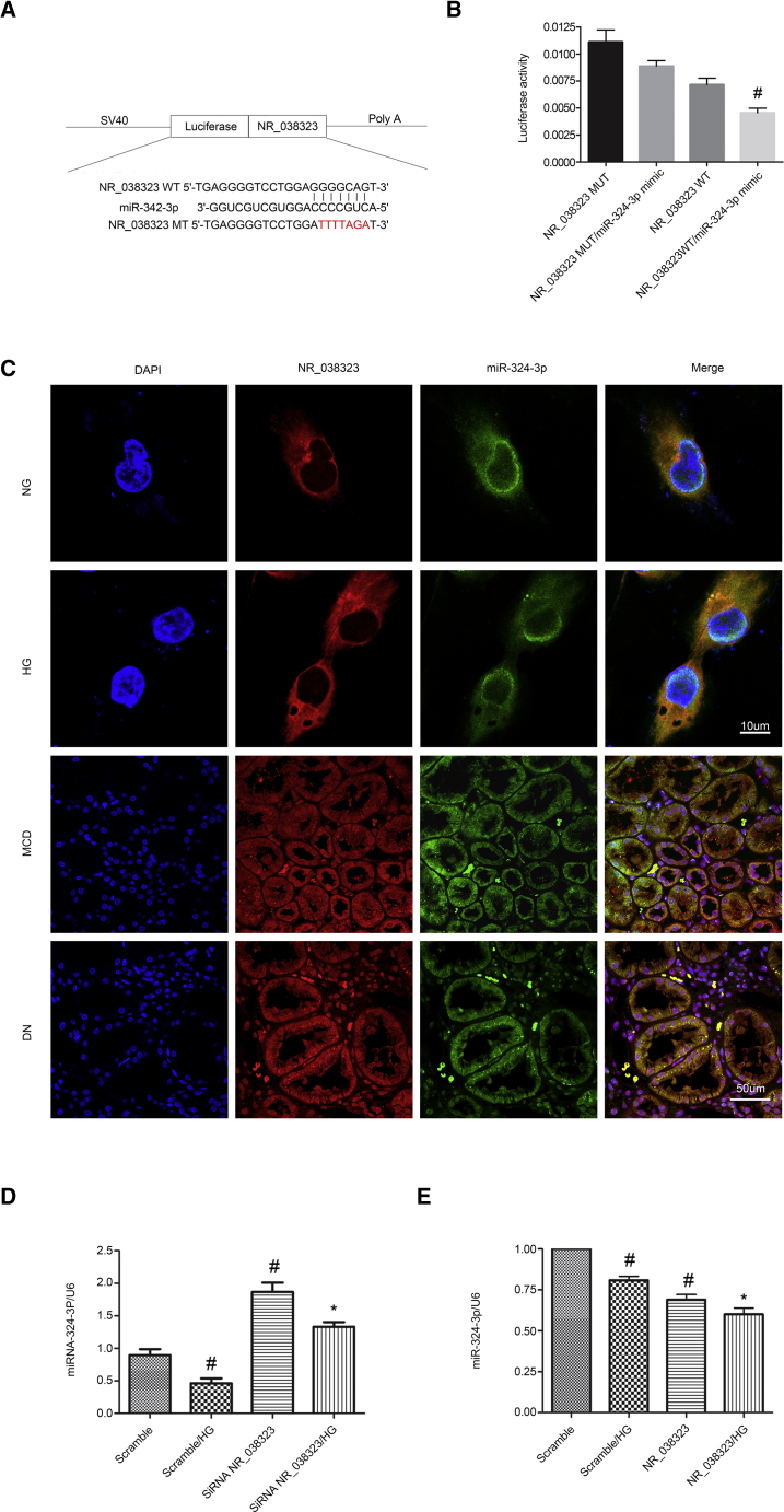 Figure 4