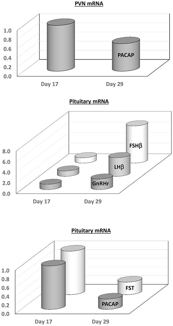 Figure 5.