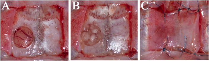 Fig. 3