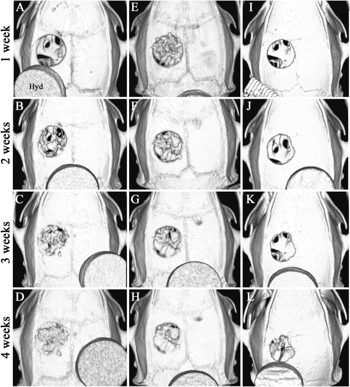 Fig. 6