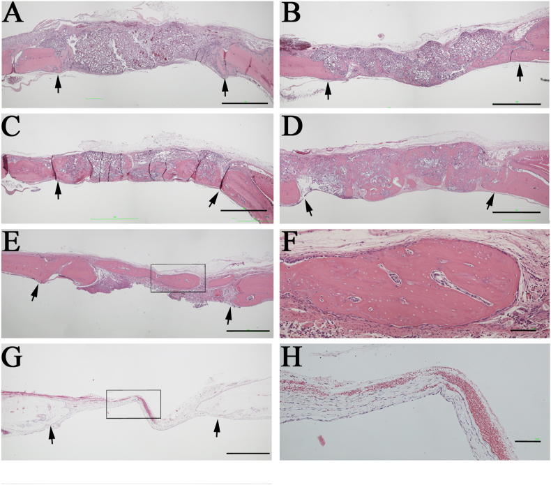 Fig. 8