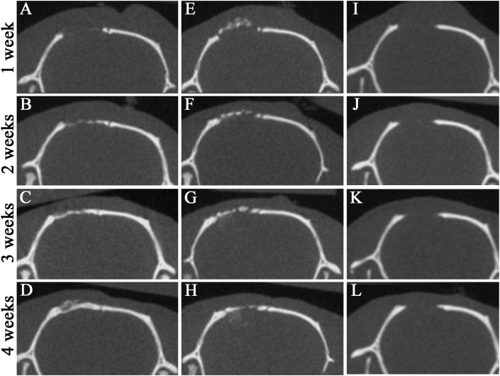 Fig. 5