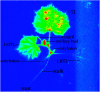 Fig. 3