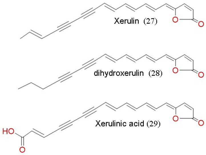 Figure 8