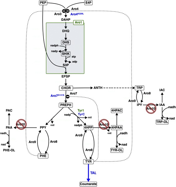 Fig. 1