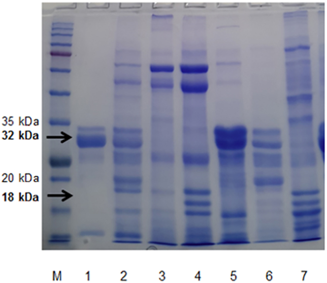 Figure 1