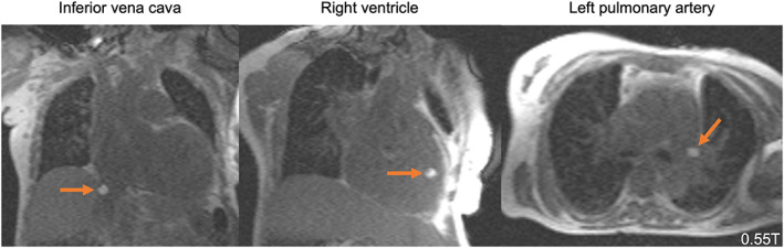 FIGURE 7