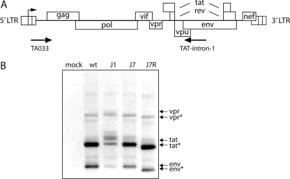 FIG. 7.