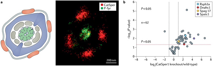 Fig. 3 ∣