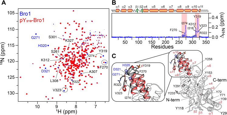 Figure 3