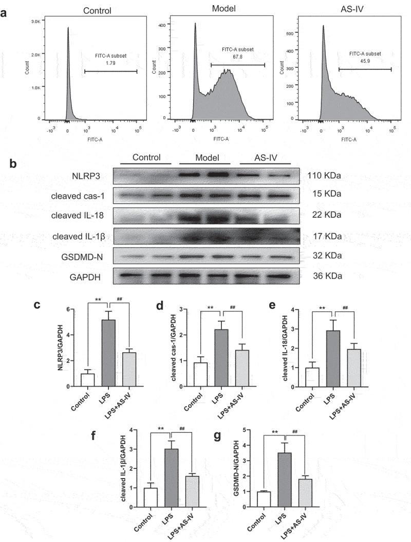 Figure 6.