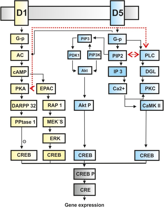 Figure 1.