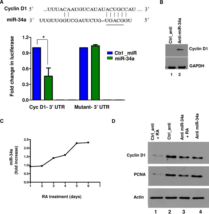 FIG 1