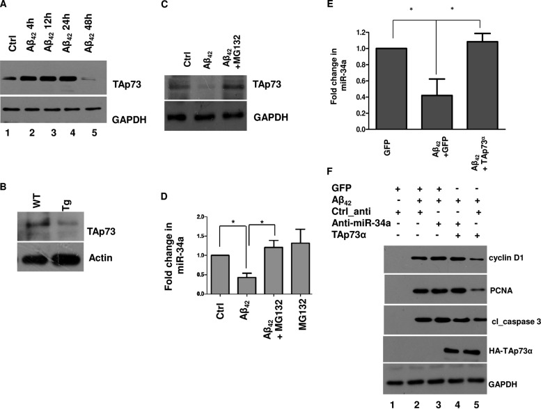 FIG 6