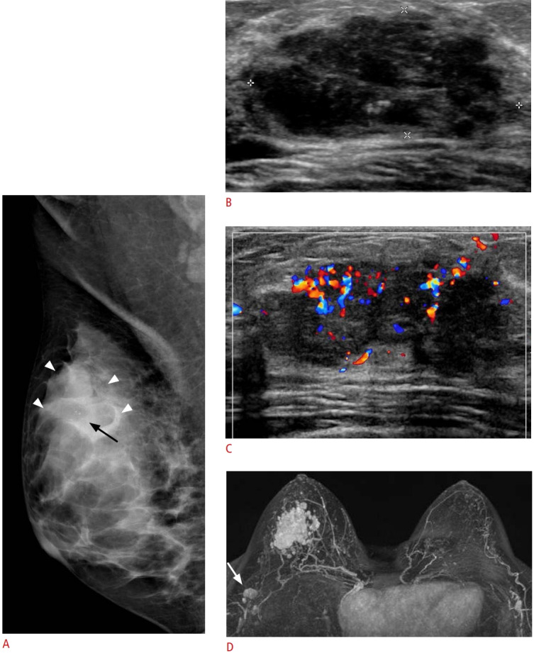 Fig. 10.