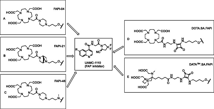 Fig. 2