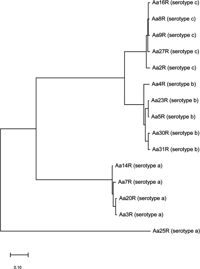 FIG 3