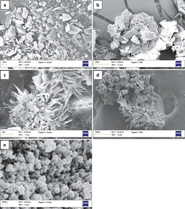 Fig. 5