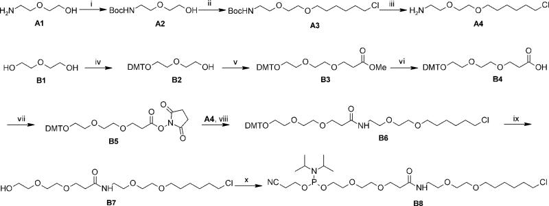 Scheme 1