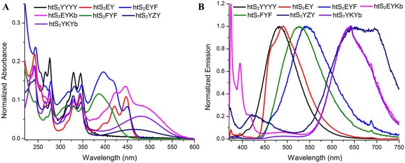 Figure 2