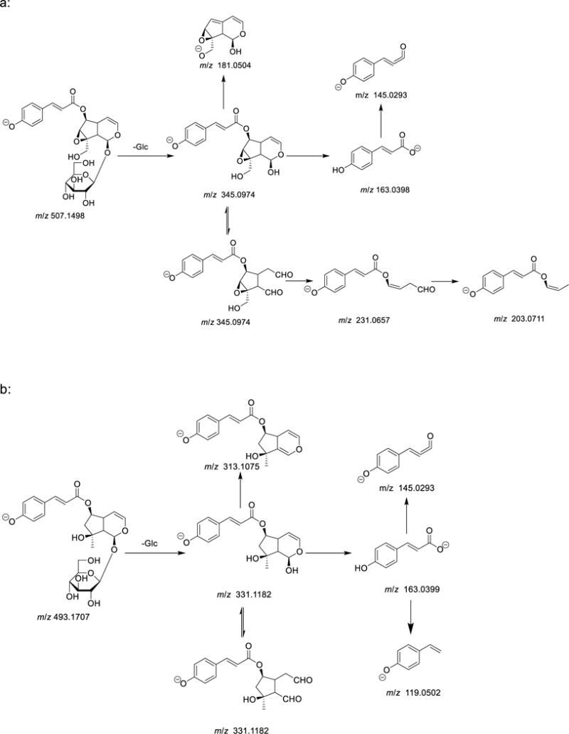 Scheme 2