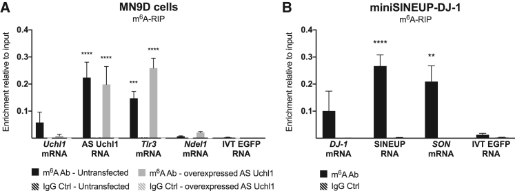 Figure 1