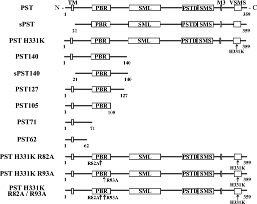 FIGURE 1.