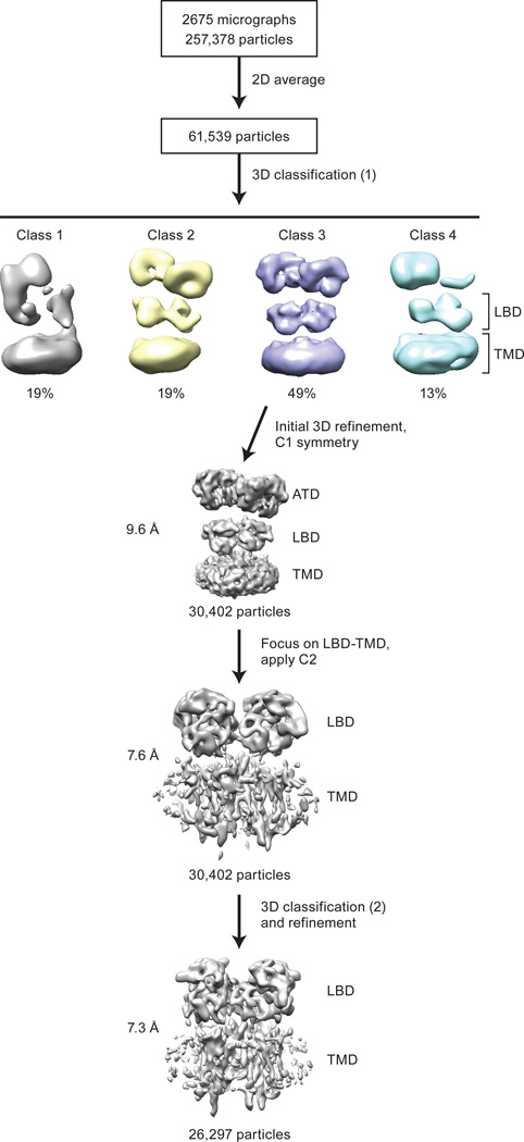 Extended Data Figure 2