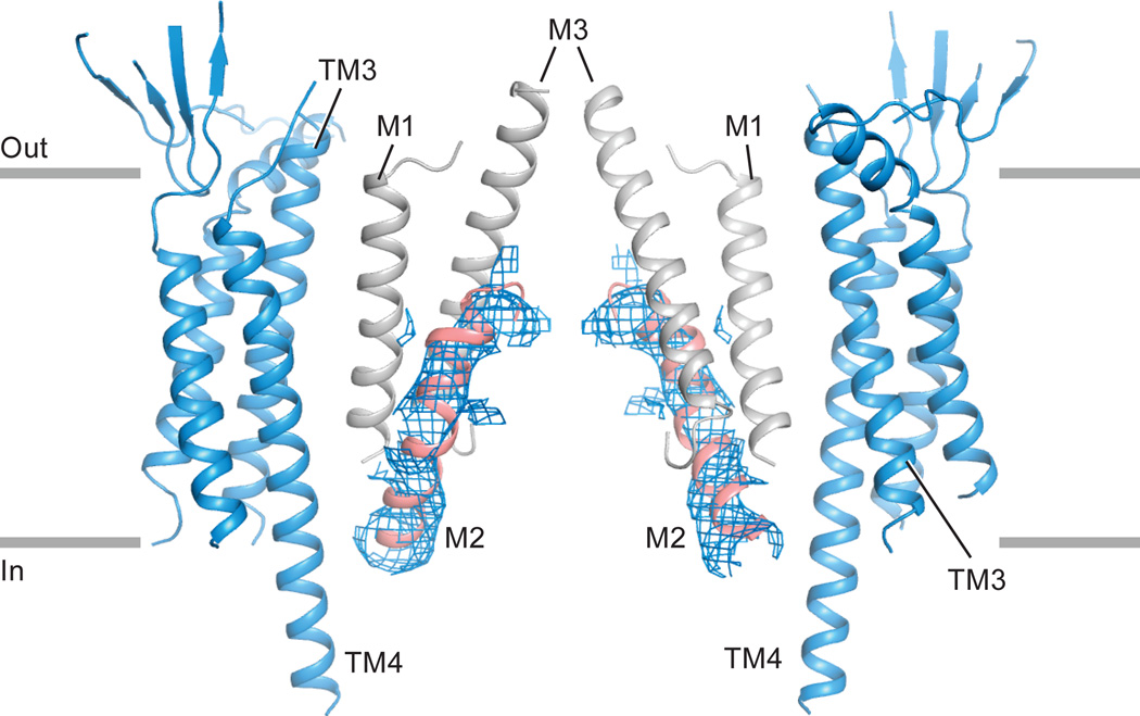 Extended Data Figure 6