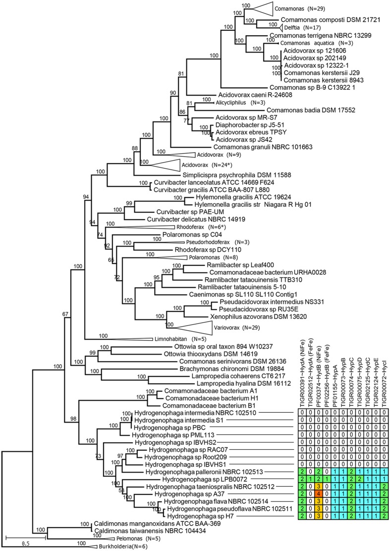 FIGURE 3