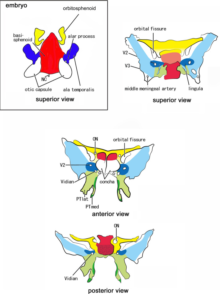 FIGURE 12