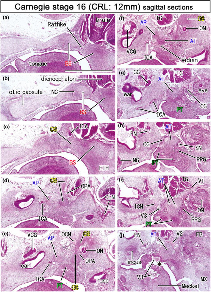 FIGURE 2