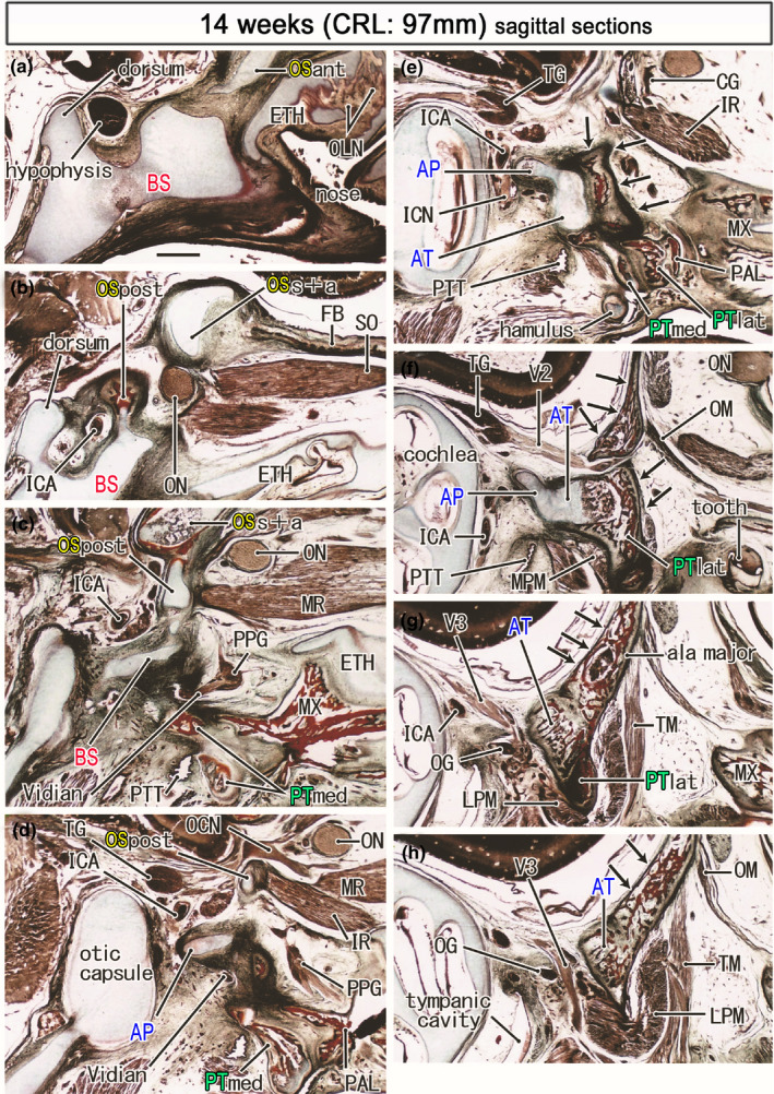 FIGURE 7