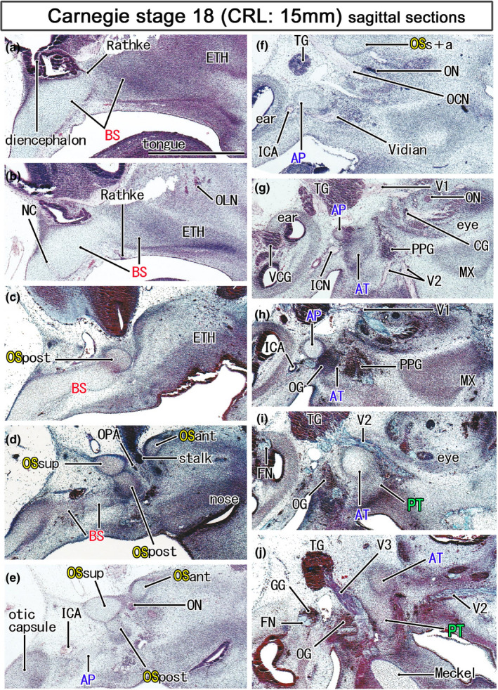 FIGURE 3