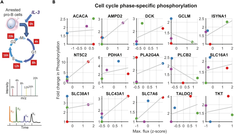 Figure 4