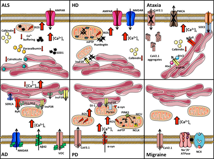 Fig. 3