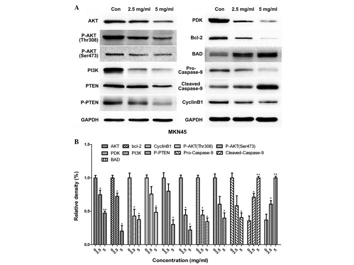 Figure 5.