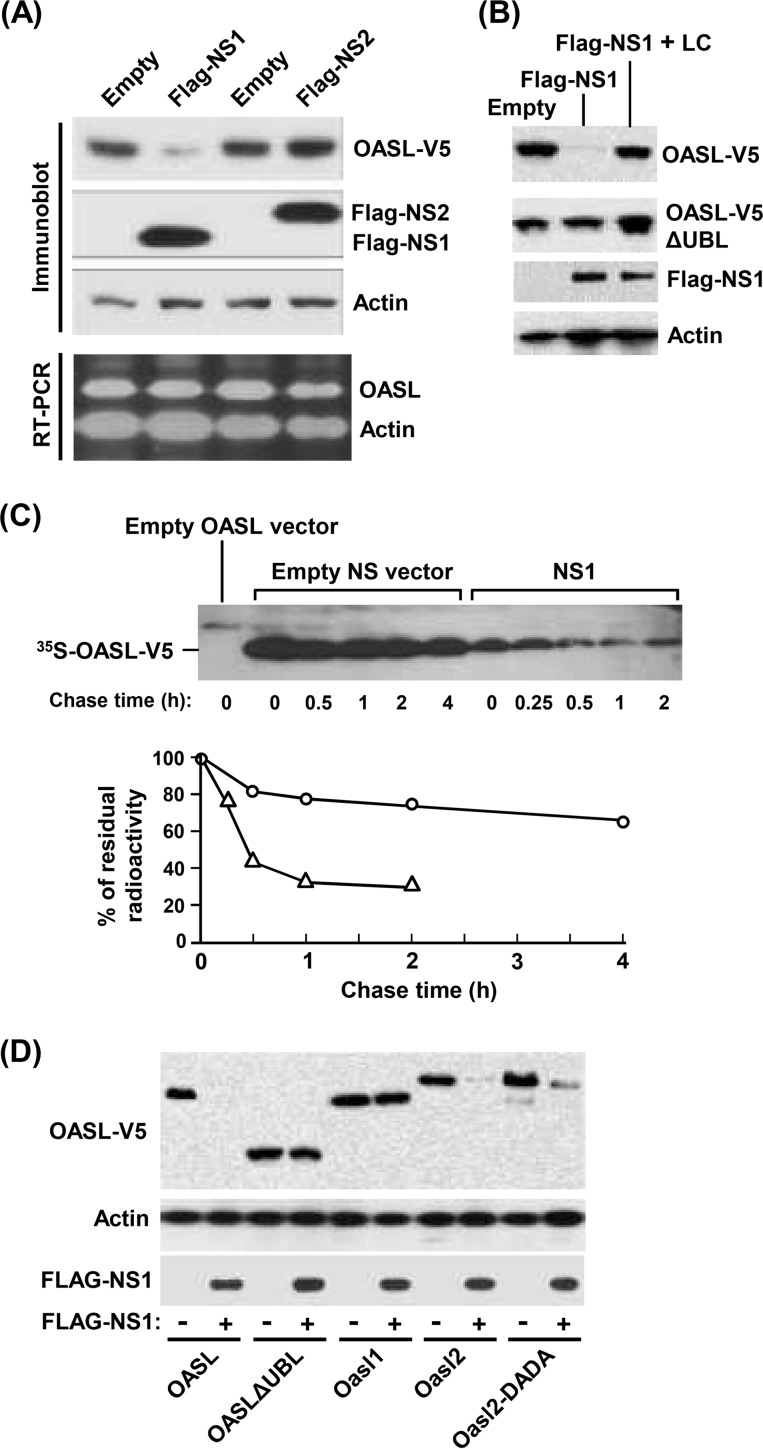 FIG 4