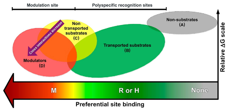 Fig. 3