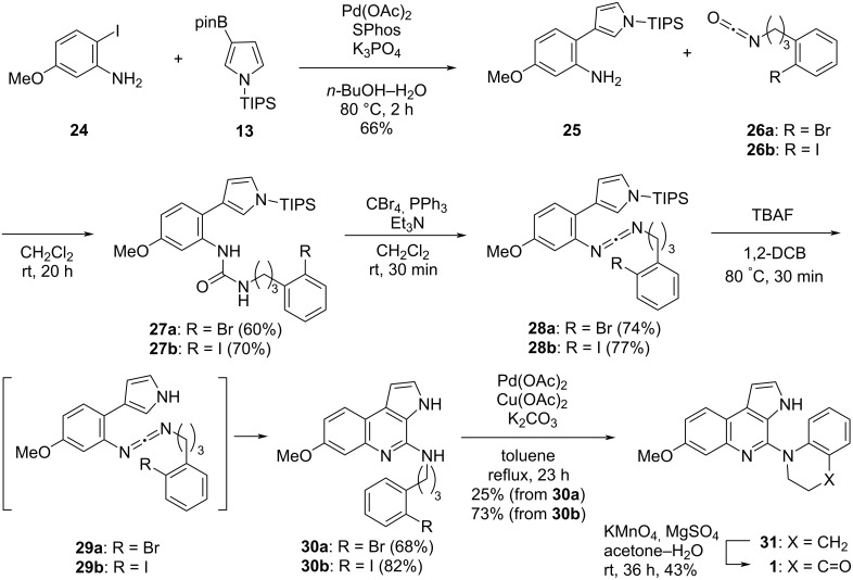 Scheme 5