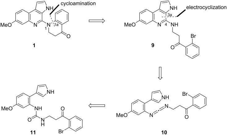 Scheme 2
