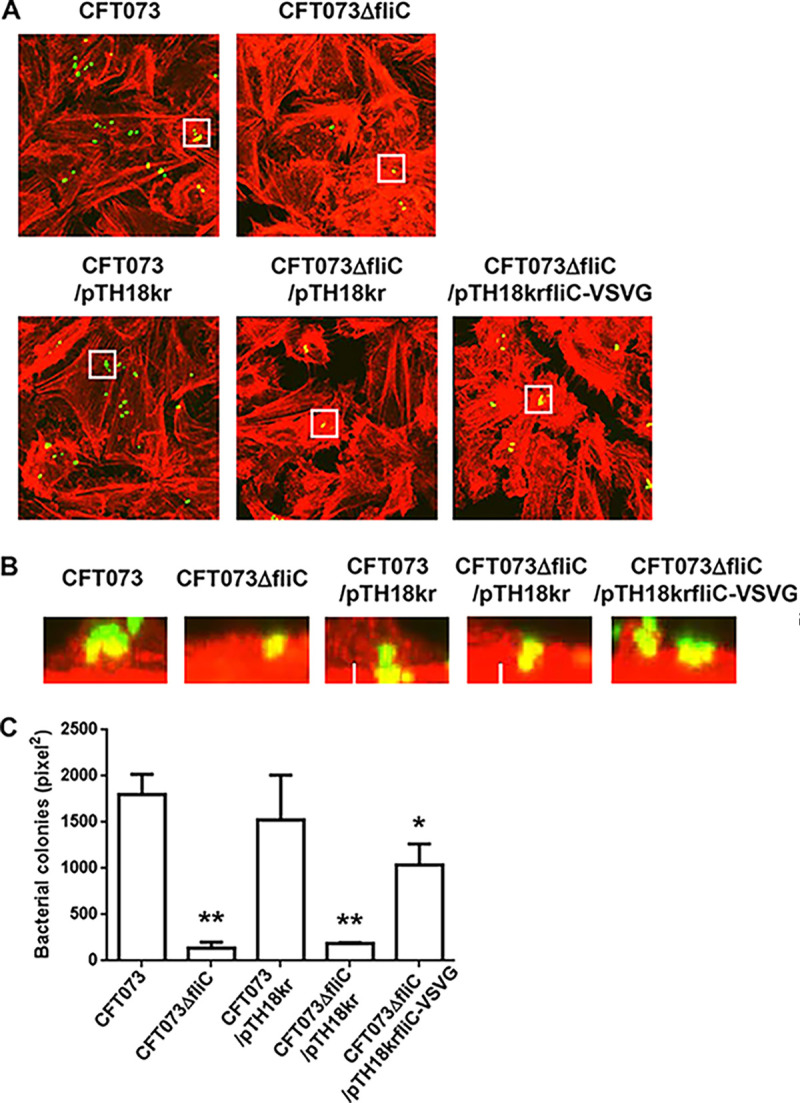 FIG 6