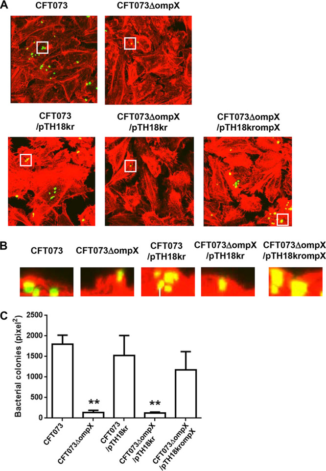 FIG 3