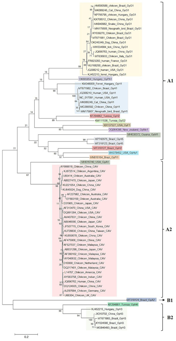 Figure 4