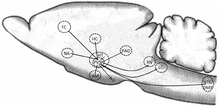 FIGURE 1