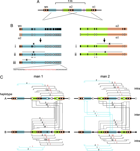 Fig. 2.